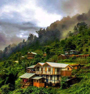 Explore the Wild Beauty of Dooars