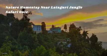Cosy Mountain View Homestay in Rishop Kalimpong 🌄