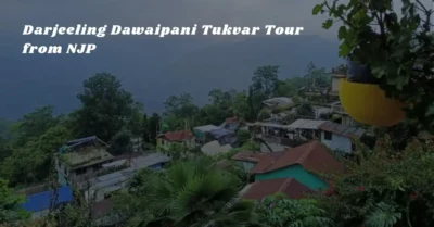 Darjeeling Dawaipani Tukvar Tour from NJP