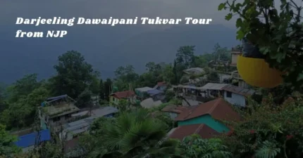 Darjeeling Dawaipani Tukvar Tour from NJP