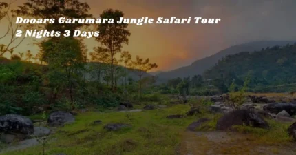 Dooars Garumara Jungle Safari Tour – 2 Nights 3 Days