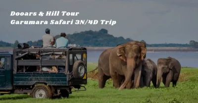 Dooars & Hill Tour – Garumara Safari 3N/4D Trip