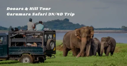 Dooars & Hill Tour – Garumara Safari 3N/4D Trip