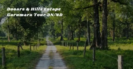 Dooars & Hills Escape – Garumara Tour 3N/4D