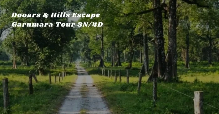 Dooars & Hills Escape – Garumara Tour 3N/4D