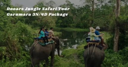 Dooars Jungle Safari Tour – Garumara 3N/4D Package