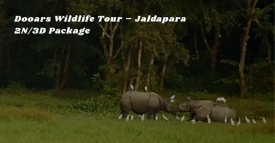 Dooars Wildlife Tour – Jaldapara 2N/3D Package