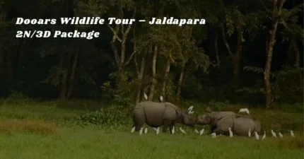 Dooars Wildlife Tour – Jaldapara 2N/3D Package