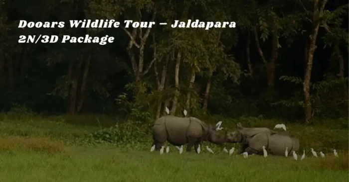 Dooars Wildlife Tour – Jaldapara 2N/3D Package