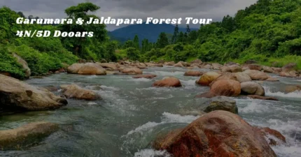 Garumara & Jaldapara Forest Tour – 4N/5D Dooars
