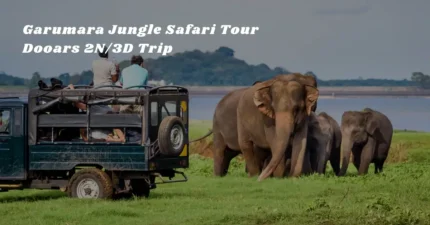 Garumara Jungle Safari Tour – Dooars 2N/3D Trip