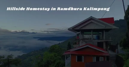 Hillside Homestay in Ramdhura Kalimpong