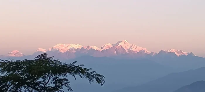 Hillside Homestay in Ramdhura Kalimpong