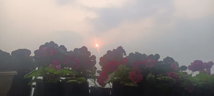 Hillside Homestay in Ramdhura Kalimpong
