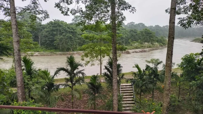 Jaldapara Forest Homestay Near Sisamara Range