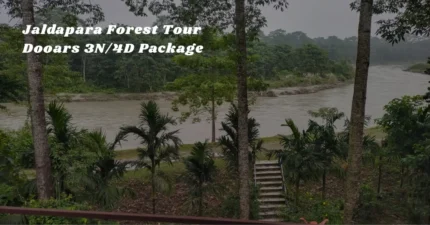 Jaldapara Forest Tour – Dooars 3N/4D Package