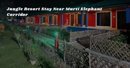 Jungle Resort Stay Near Murti Elephant Corridor