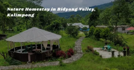 Nature Homestay in Bidyang Valley, Kalimpong