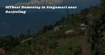 Offbeat Homestay in Singamari near Darjeeling