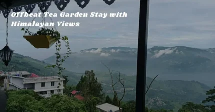 Peaceful Hill Homestay in Kurseong