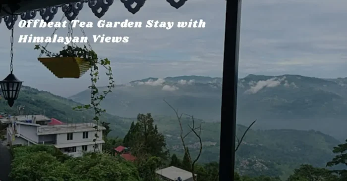 Peaceful Hill Homestay in Kurseong