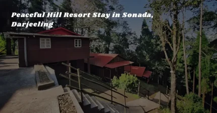 Peaceful Hill Resort Stay in Sonada, Darjeeling