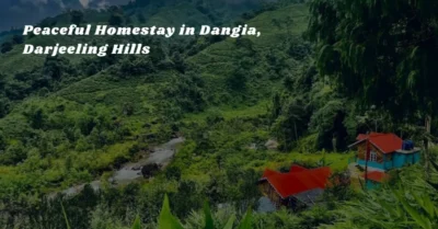Peaceful Homestay in Dangia, Darjeeling Hills