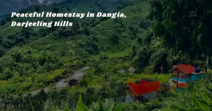 Peaceful Homestay in Dangia, Darjeeling Hills