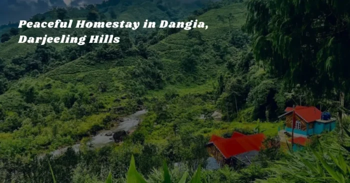 Peaceful Homestay in Dangia, Darjeeling Hills