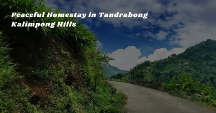 Peaceful Homestay in Tandrabong Kalimpong Hills