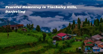Peaceful Homestay in Tinchuley Hills, Darjeeling