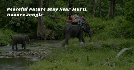 Peaceful Nature Stay Near Murti, Dooars Jungle