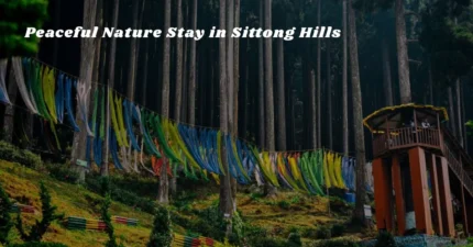 Peaceful Nature Stay in Sittong Hills