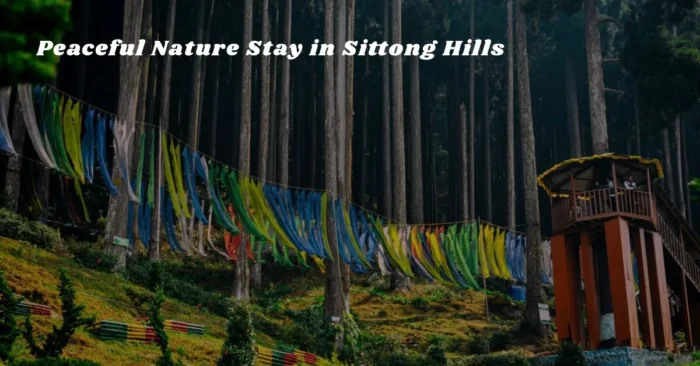 Peaceful Nature Stay in Sittong Hills