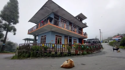 Cosy Mountain View Homestay in Rishop Kalimpong 🌄