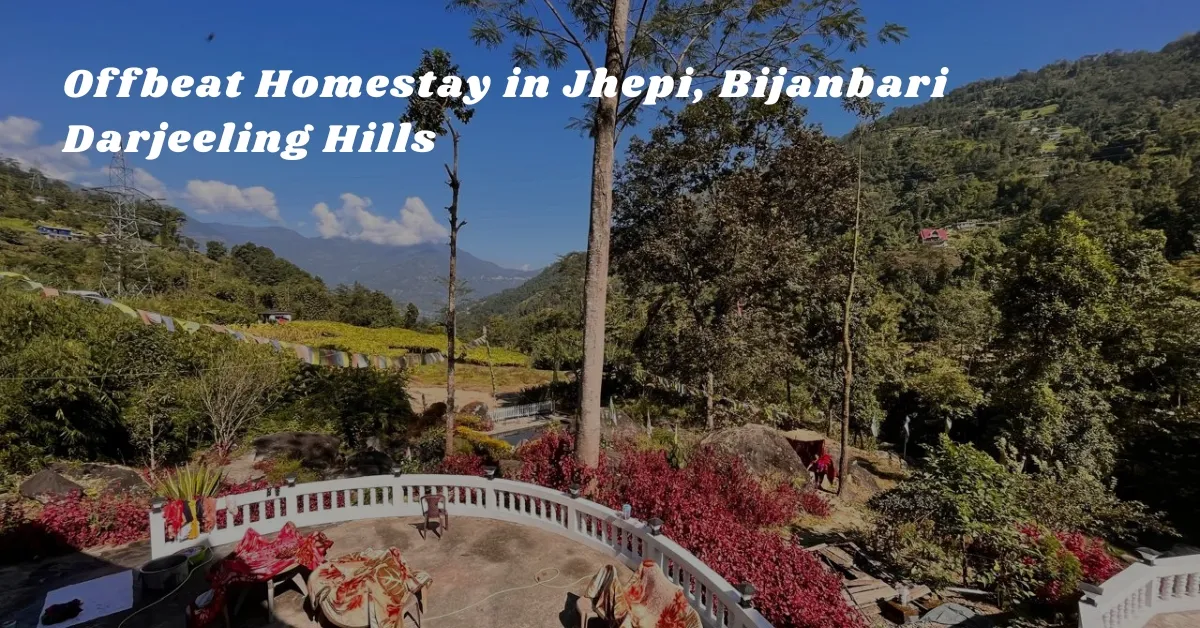 Offbeat Homestay in Jhepi, Bijanbari – Darjeeling Hills Offbeat Homestay in Jhepi, Bijanbari – Darjeeling Hills