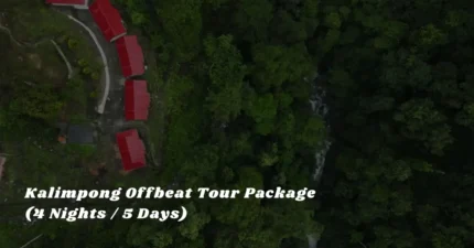 Dooars 4 Nights / 5 Days Tour Package – Explore the Green Paradise of North Bengal