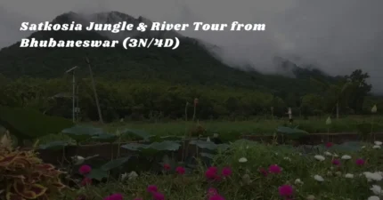 Satkosia Jungle & River Tour from Bhubaneswar (3N/4D)