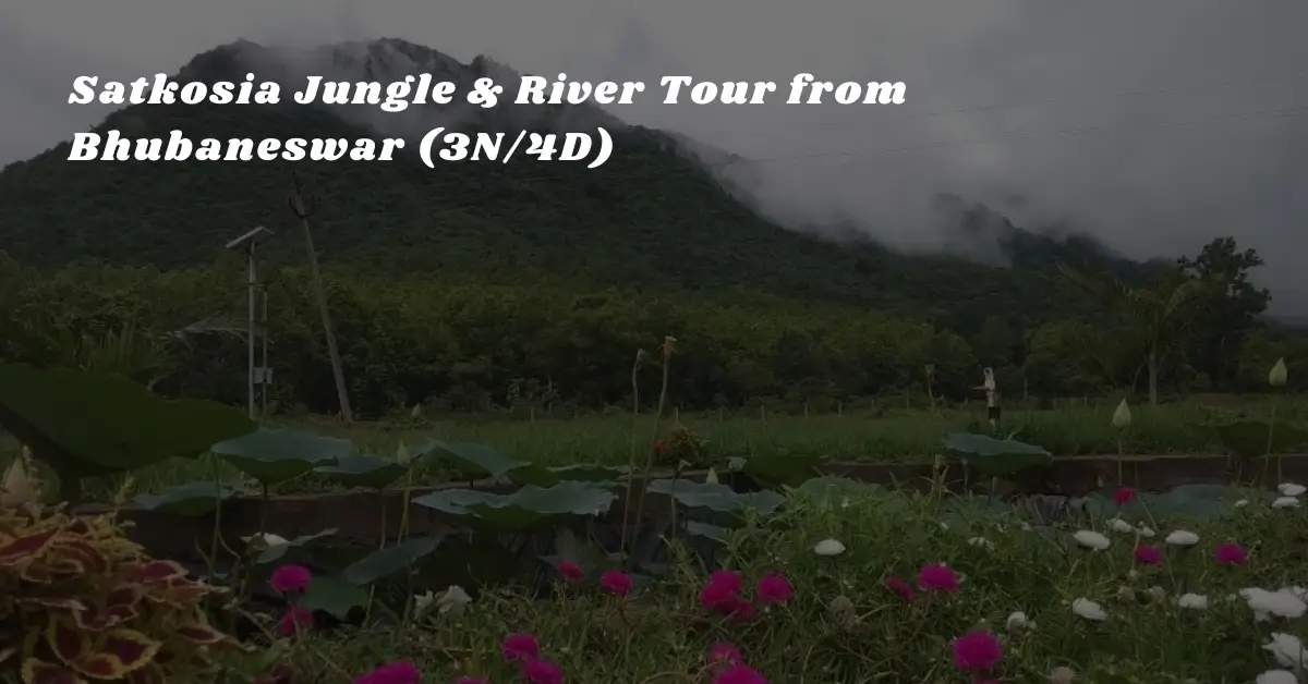 Satkosia Jungle & River Tour from Bhubaneswar (3N4D) Satkosia Jungle & River Tour from Bhubaneswar (3N/4D)
