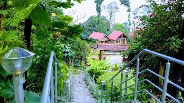Chayatal Resort Stay in West Sikkim Cozy Rooms & Himalayan Views