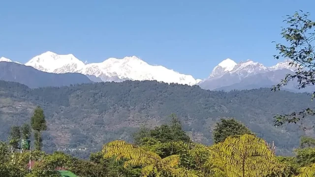 Chayatal Resort Stay in West Sikkim Cozy Rooms & Himalayan Views