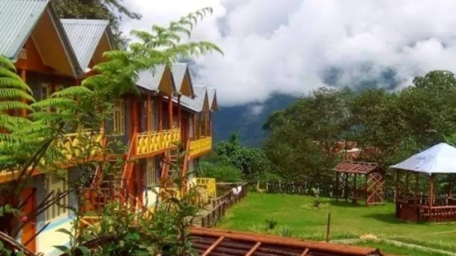 Chayatal Resort Stay in West Sikkim Cozy Rooms & Himalayan Views