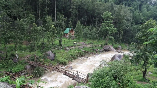 Homestay in Dangia