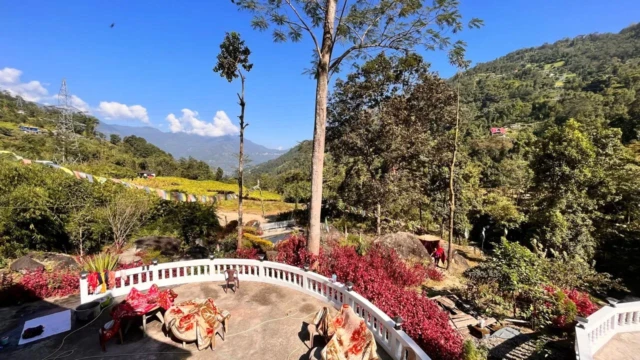 Offbeat Homestay in Jhepi, Bijanbari – Darjeeling Hills