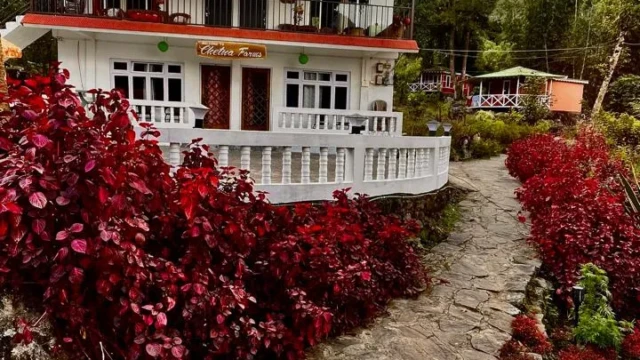 Offbeat Homestay in Jhepi, Bijanbari – Darjeeling Hills