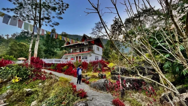 Offbeat Homestay in Jhepi, Bijanbari – Darjeeling Hills