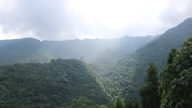 Homestay in Rishihut