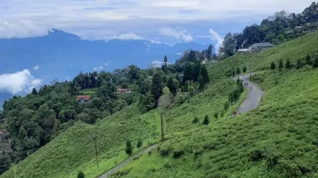 Homestay in Singamari