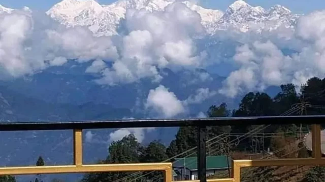 Homestay in Singamari