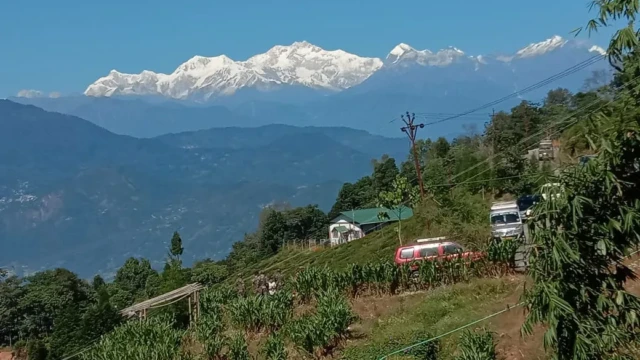 Homestay in Singamari